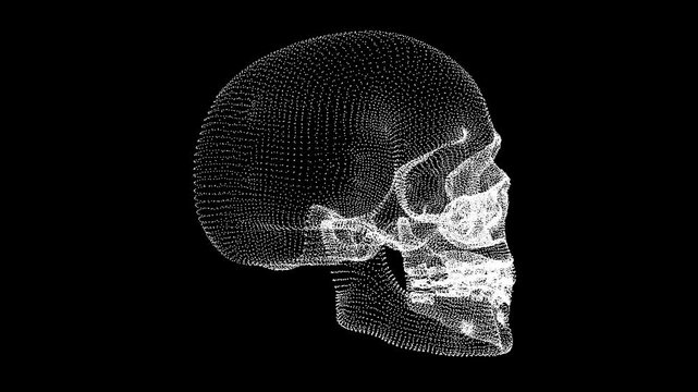 Rotation depiction of a human skull, crafted from intricate white dots on a black background, resembling a 3D wireframe with a futuristic and minimalist design aesthetic