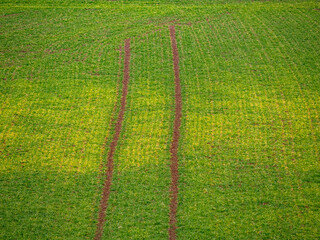 Fahrspuren im Feld