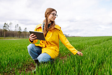 Woman Farmer on a green wheat field use agricultural technology in data analysis tablets. Smart...