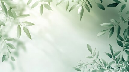 Delicate Green Leaves Frame with Soft Light, Nature Botanical Abstract Background.