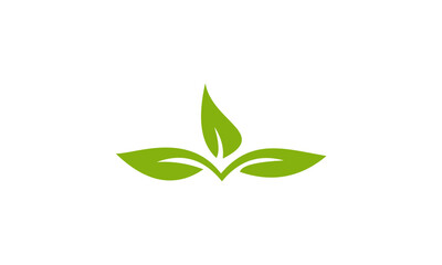 green leaf logo