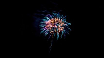 Fototapeta premium Single Firework Explosion with Streaking Lights against Black Background