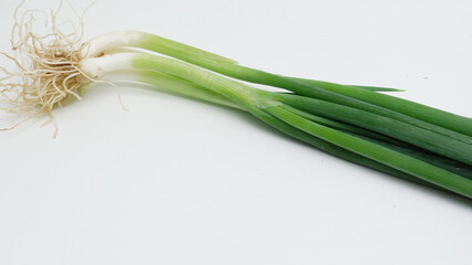 fresh leek or daun bawang on a white background
