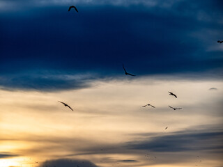 Wolkenhimmel am Abend