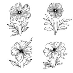set of black and white flowers