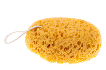body loofah isolated