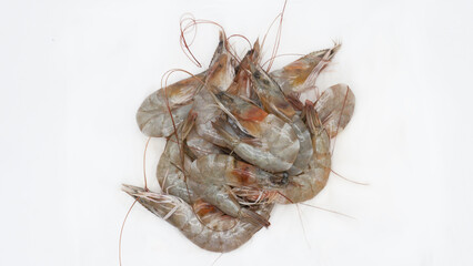fresh shrimp with isolated white background