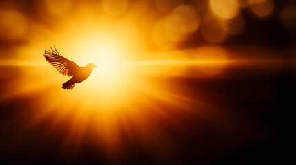 Obraz premium Silhouette of a Bird Flying Against a Vibrant Golden Sunset