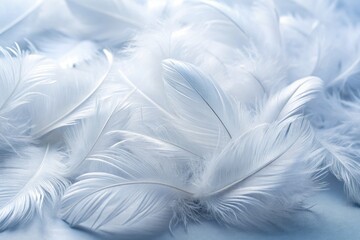Fototapeta premium Architectural photography: Delicate, white background PNGs of lightweight feather accessories.