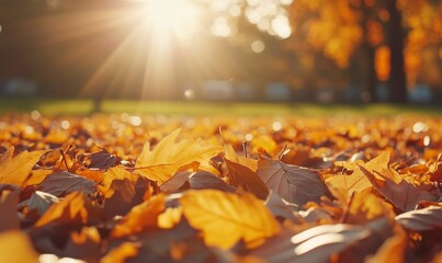 American Football in Autumn Sunlight on Fallen Leaves, Close-Up Shot, Generative AI