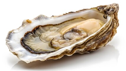 Raw Oyster with Pearlescent Interior Gourmet Seafood Delicacy V8