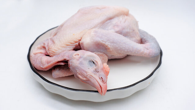 Raw carcass chicken, ayam kampung in Indonesia isolated on white