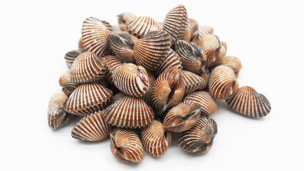 Cclose up and selective focus Blood Cockles or Kerang darah. blood cockle ocean gourmet seafood in basket. 