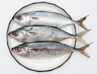 Raw fresh  Mackerel fish or ikan kembung and ingredients ,Fresh seafood concept.