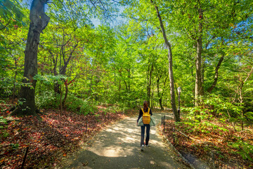 Obraz premium Girl walking in Central Park on a sunny morning
