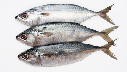 Raw fresh  Mackerel fish or ikan kembung and ingredients ,Fresh seafood concept.