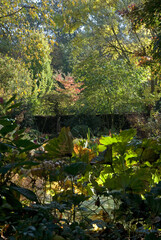 Les Jardins de Castillon, Plantbessin, Castillon, 14, Calvados, France