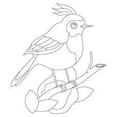 Fantastic hummingbird for coloring