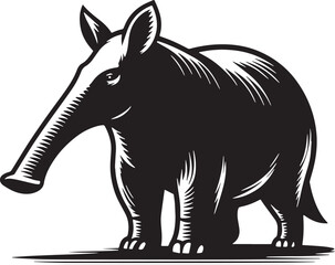 Black Color Aardvark Silhouette Vector Illustration design, Solid White Background