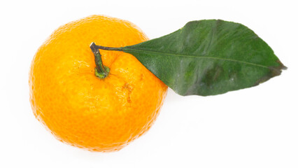 Tangerines. Close view on Fresh Mandarin Orange.  Isolated on White Background. Citrus. Sweet. Juicy. Chinese. New Year. Jeruk Keprok