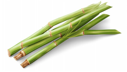 Obraz premium green bamboo on white