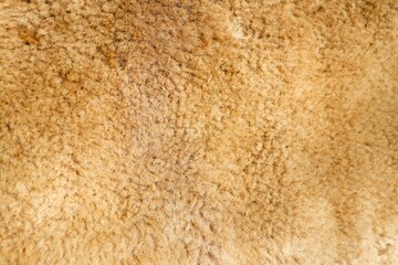 A Warm Textured Fleece Background Ideal for Creating Cozy and Inviting Design Projects