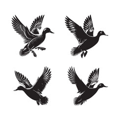 High-Quality Vector Silhouette of a Gadwall on White Background