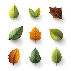 Obraz premium set of green leaves