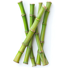 Obraz premium Flowers and leaves in pictures illustrator2D