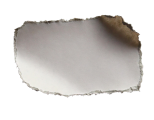 PNG isolated on transparent white background, torn white paper edge, realistic design, clean texture, ripped border, jagged details, seamless overlay, versatile usage, perfect for creative visual proj