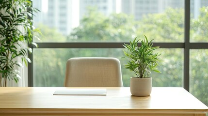 Fototapeta premium Eco-Friendly living concept. A serene office space featuring a plant on a desk with a view of greenery outside.