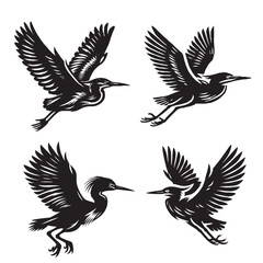 High-Quality Vector Silhouette of a Green Heron on White Background