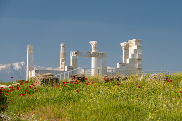 Fototapete bei efototapeten.de bestellen   