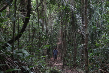 homem em trilha no parque nacional do viru&aacute;, roraima
