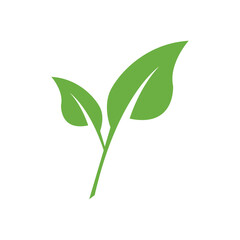 Leaf Logo Icon Graphic Background Template