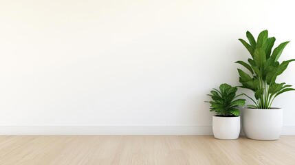 Green design minimalist concept. Indoor plants in pots against a minimalist white wall, enhancing peaceful surroundings.
