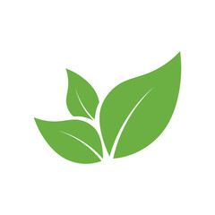 Leaf Logo Icon Graphic Background Template