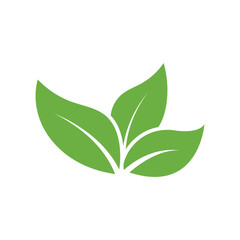 Leaf Logo Icon Graphic Background Template