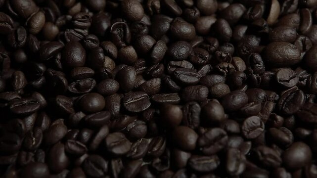 footage of coffee seed background