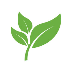 Leaf Logo Icon Graphic Background Template