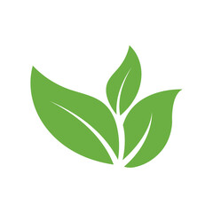 Leaf Logo Icon Graphic Background Template