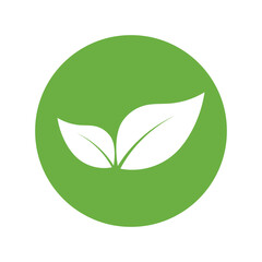 Leaf Logo Icon Graphic Background Template