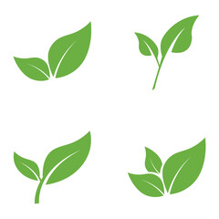 Leaf Logo Icon Graphic Background Template