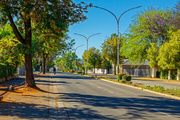 Street with green shady trees in the small Little Karoo town of Oudtshoorn in the Western Cape, South Africa