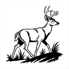 silhouette of a deer