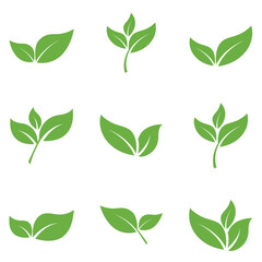 Leaf Logo Icon Graphic Background Template