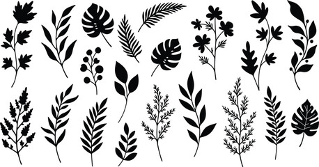 Leaf Silhouette Designs and Botanical Clipart Collection