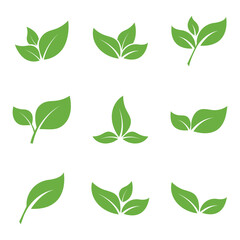 Leaf Logo Icon Graphic Background Template