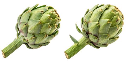 Obraz premium Fresh artichokes with vibrant green leaves and stems