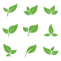 Leaf Logo Icon Graphic Background Template